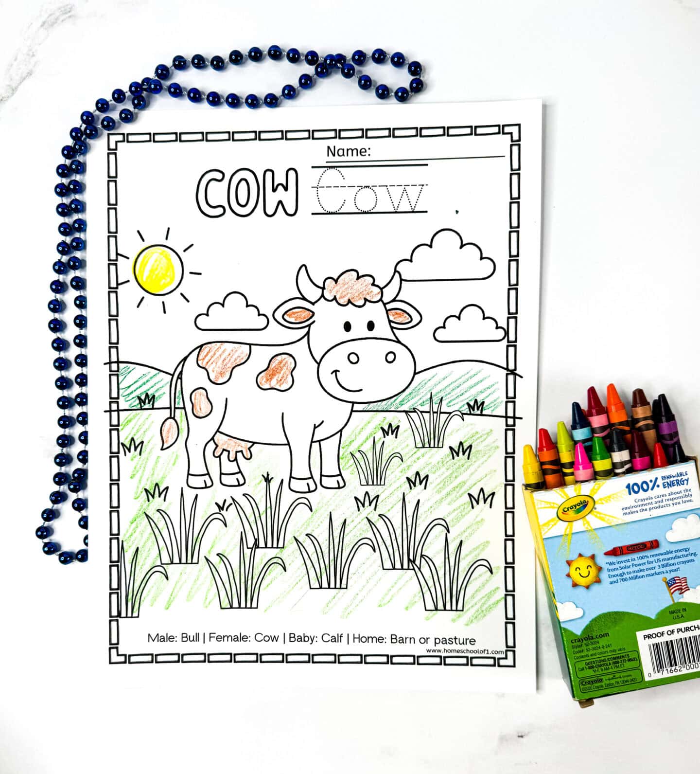 Completed cow coloring page with bubble word “COW” in grey, traceable name, cartoon cow in a grassy pasture, and vocabulary facts about bulls, cows, calves, and their homes.