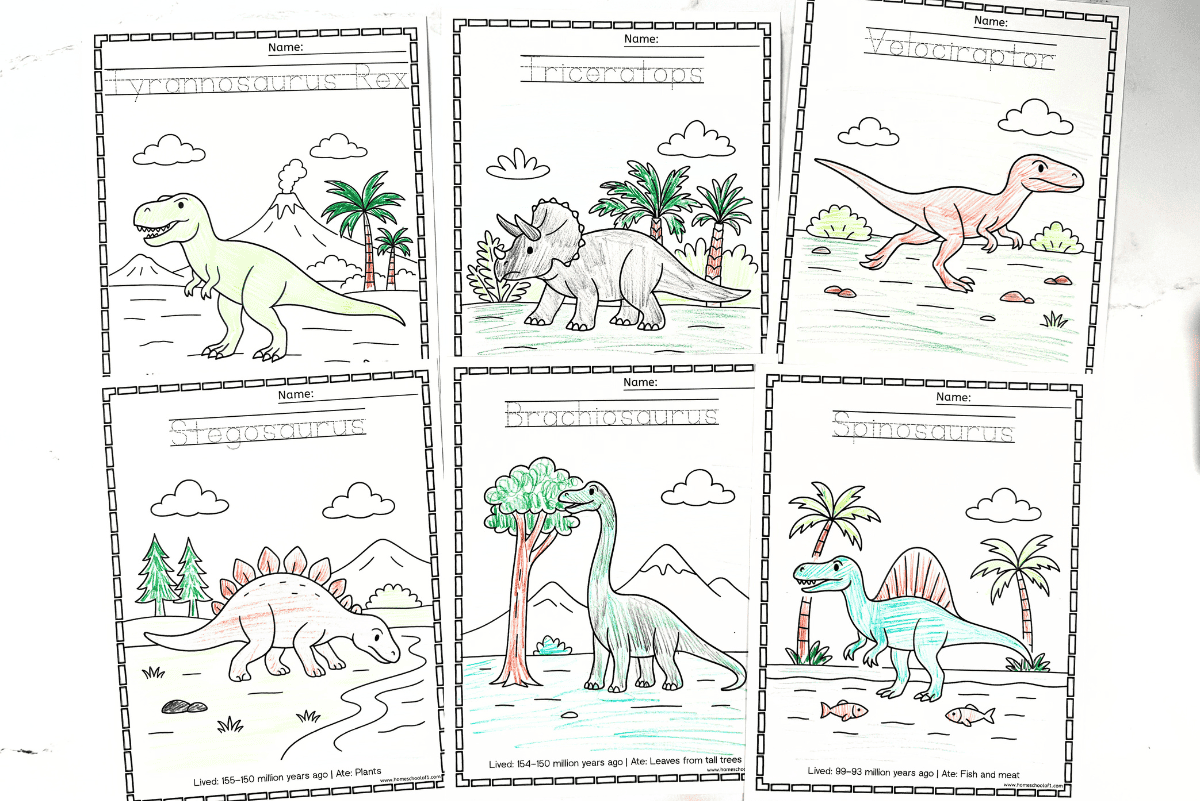 Six dinosaur coloring pages for kids including T-Rex, Triceratops, Velociraptor, Stegosaurus, Spinosaurus, and Brachiosaurus.
