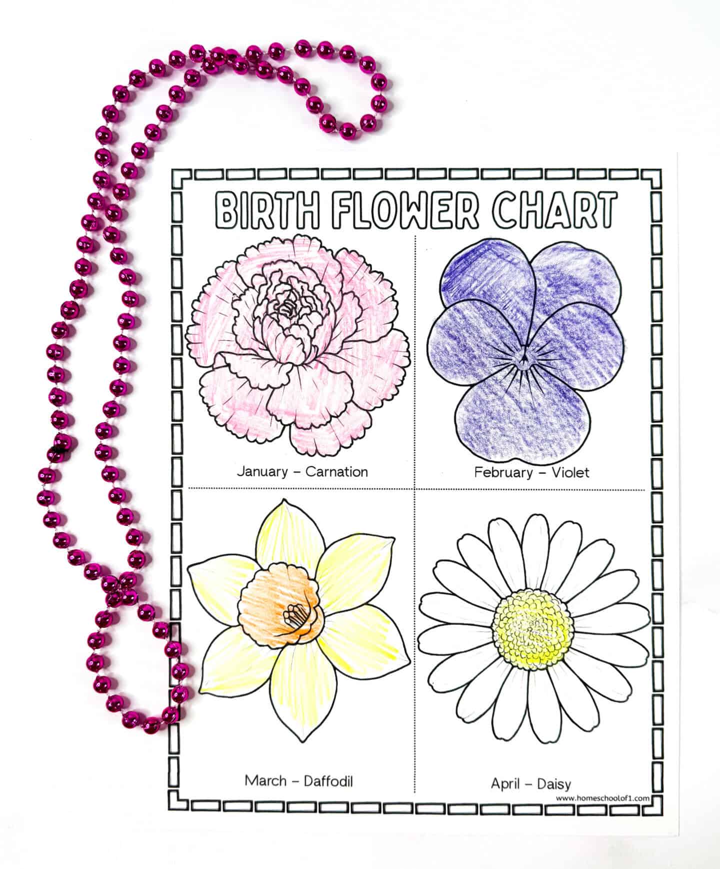 Birth flower chart for January (Carnation), February (Violet), March (Daffodil), and April (Daisy), colored with crayons and displayed with a pink beaded necklace.