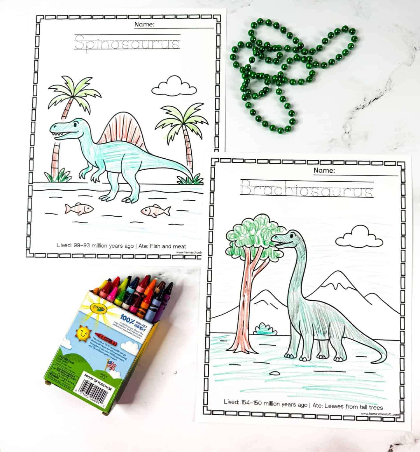 Spinosaurus and Brachiosaurus coloring pages for kids, featuring traceable names, educational facts, and a set of crayons.