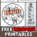 Free reindeer printables including anatomy worksheets, counting activities, life cycle diagrams, writing practice, and holiday creative prompts for kids.