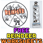Free reindeer worksheets for kids featuring parts of a reindeer, counting pages, life cycle wheel, writing practice, and holiday creative prompts.