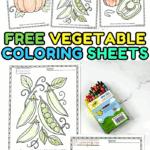 Assorted vegetable coloring sheets including carrots, peas, pumpkins, and tomatoes.