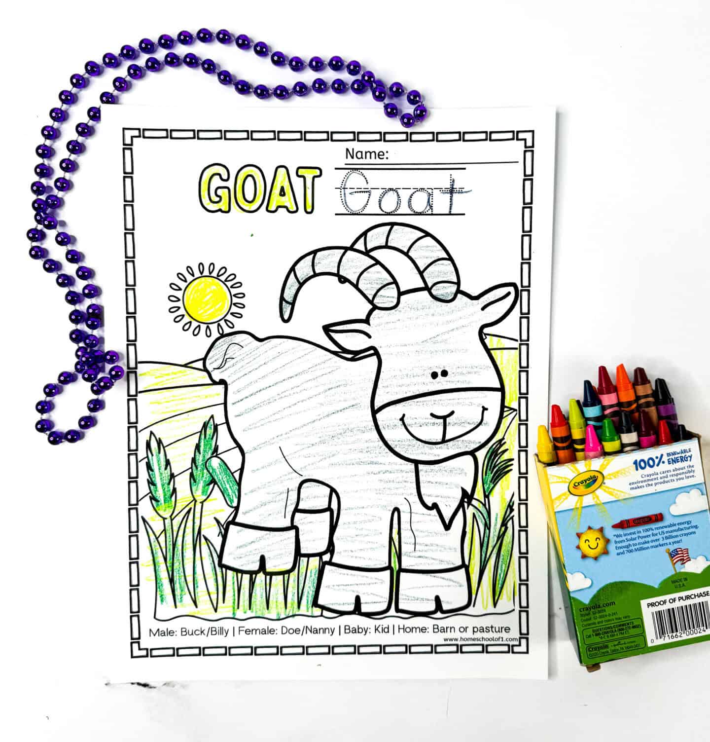 Free printable goat coloring page for kids featuring bubble word “GOAT” in yellow, traceable name, cartoon goat outline, and fun facts about male, female, and baby goats, plus their home.