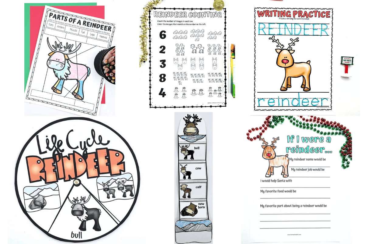 Free printable reindeer worksheets for kids, featuring counting, labeling, life cycle, handwriting, and creative holiday activities.