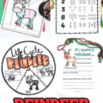 Collection of printable reindeer worksheets for kids including parts of a reindeer, counting activity, life cycle spinner, and creative writing prompt.
