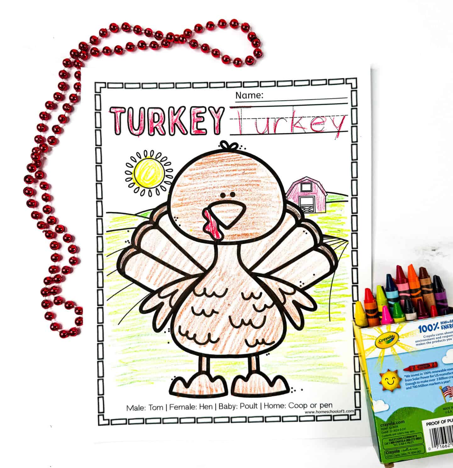 Completed turkey coloring page for kids with bubble word “TURKEY” colored in red, traceable name, large cartoon turkey outline, and fun facts about male, female, and baby turkeys, plus their home.