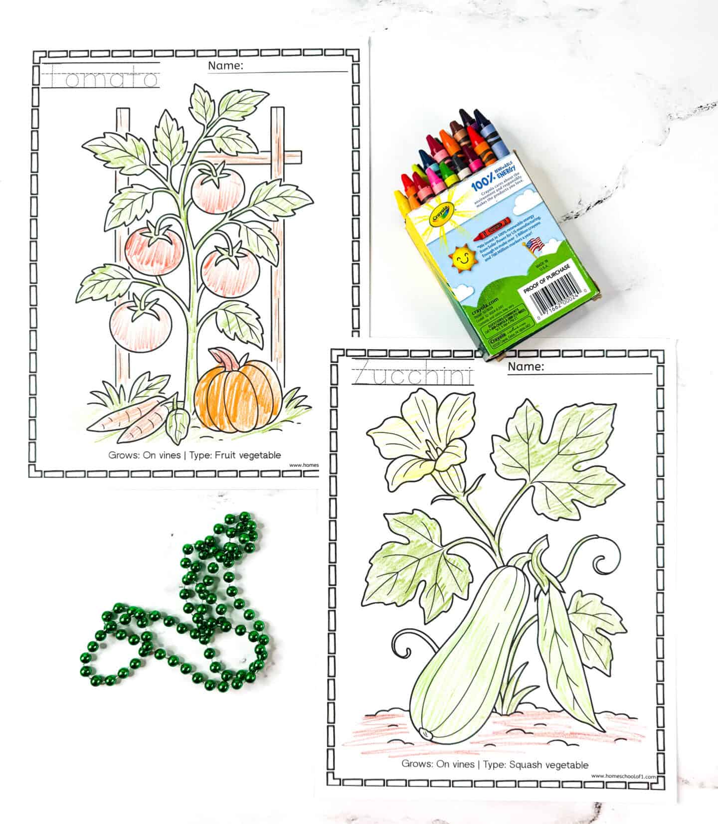 Tomato and zucchini coloring pages showing vine vegetables with a crayon box.