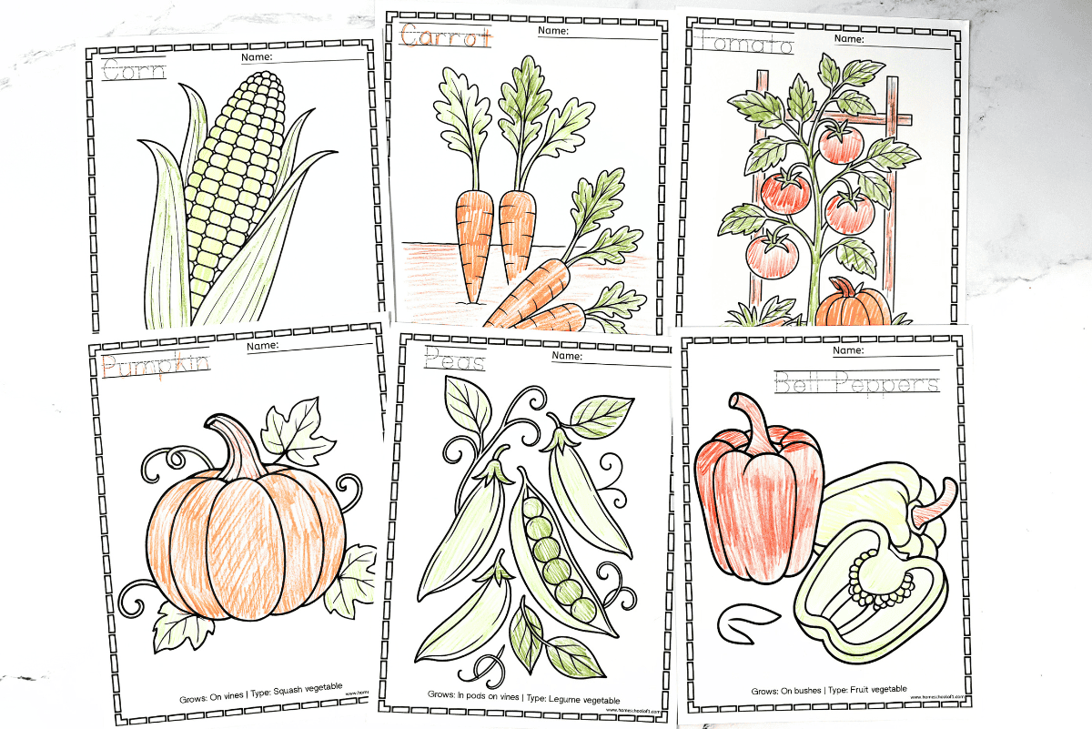 Six vegetable coloring sheets featuring corn, carrots, tomatoes, pumpkins, peas, and bell peppers.