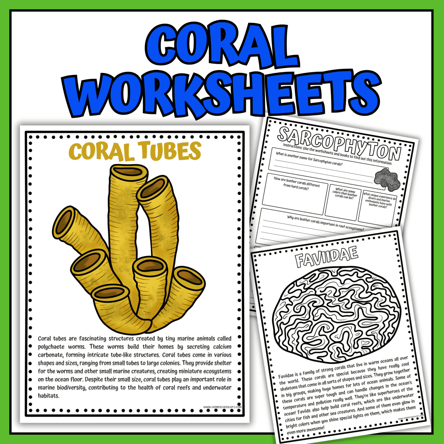 Colorful preview of coral reef worksheets for kids, featuring Coral Tubes, Sarcophyton, and Faviidae educational printables with facts and activities.
