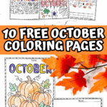 Free printable October coloring pages with pumpkins, leaves, ghosts, spiderwebs, and harvest baskets.