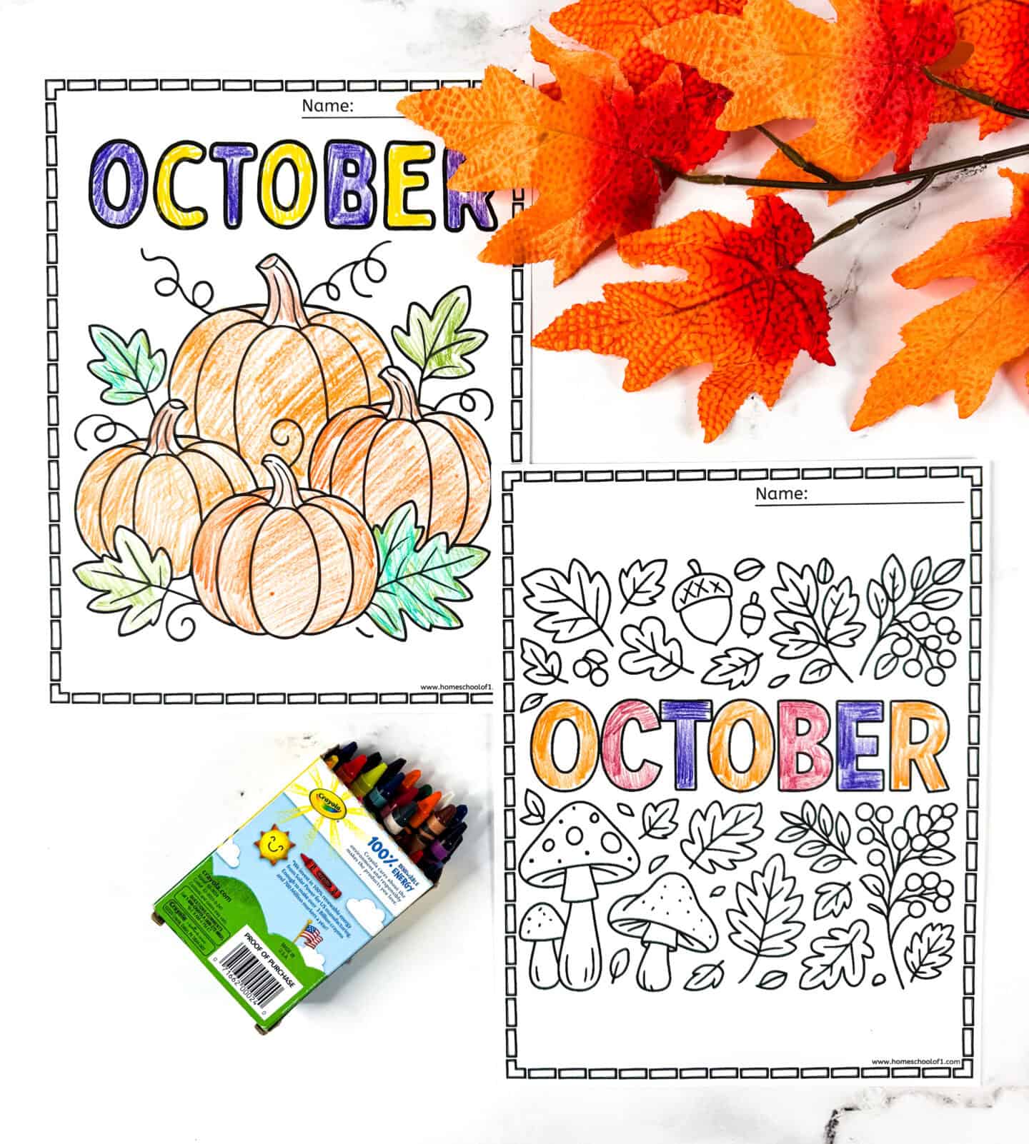 Free printable October color pages with pumpkins, mushrooms, leaves, and fall foliage designs.