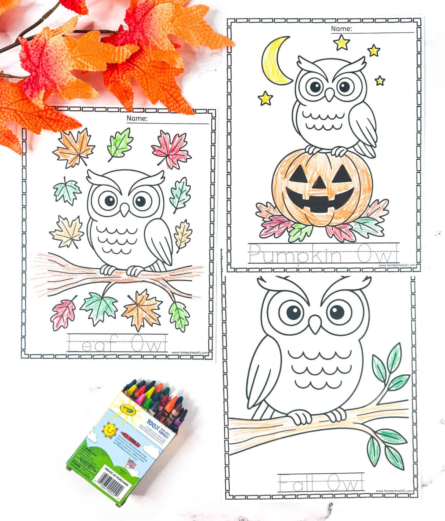 Printable owl coloring pages featuring a leaf owl, pumpkin owl, and fall owl, shown partly colored with crayons and decorated with artificial autumn leaves.