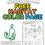 Complete set of seven free habitat coloring pages including rainforest, desert, savanna, temperate forest, arctic, and coral reef.
