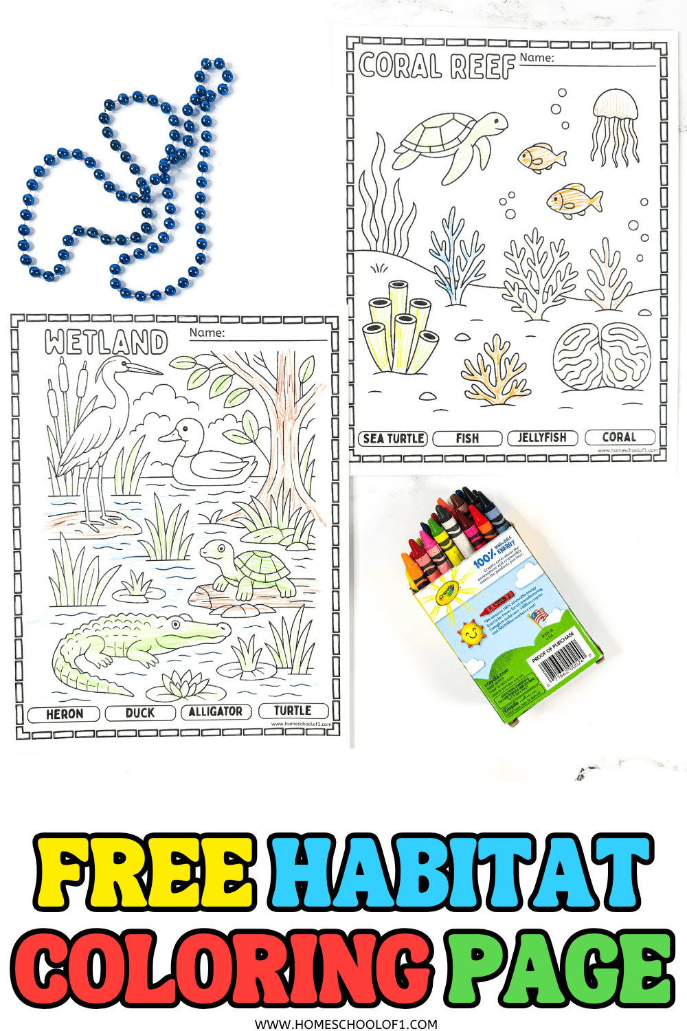 Wetland and coral reef habitat coloring pages for kids with animals like heron, turtle, and sea turtle.