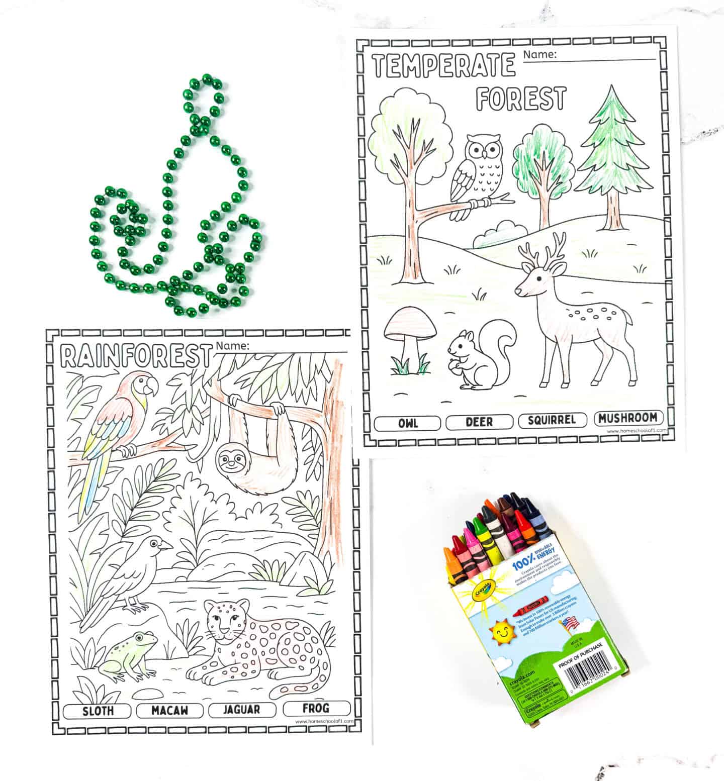 Rainforest and Temperate Forest habitat coloring pages for kids with animals like sloth, macaw, jaguar, frog, owl, deer, squirrel, and mushroom.