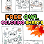 A collection of free owl coloring sheets showing different designs like Pumpkin Owl, Leaf Owl, Witch Owl, Flying Owl, Wizard Owl, Owl Family, and Family of Owls, partly colored with crayons.