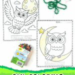 Free printable owl coloring sheets featuring a flying owl against the moon and a moon owl sitting on a crescent moon, shown partly colored with crayons.