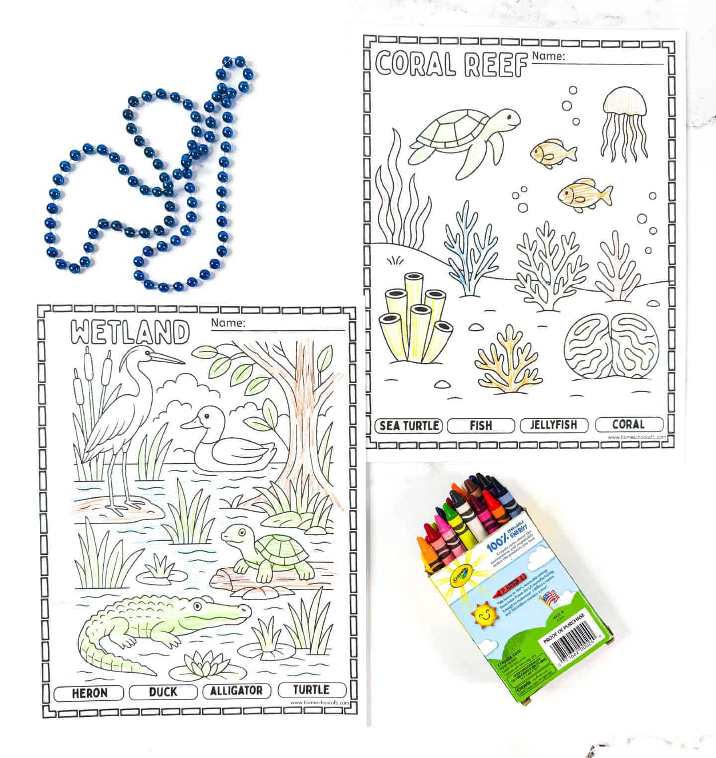 Wetland and Coral Reef habitat coloring pages for children showing heron, duck, alligator, turtle, sea turtle, fish, jellyfish, and coral.