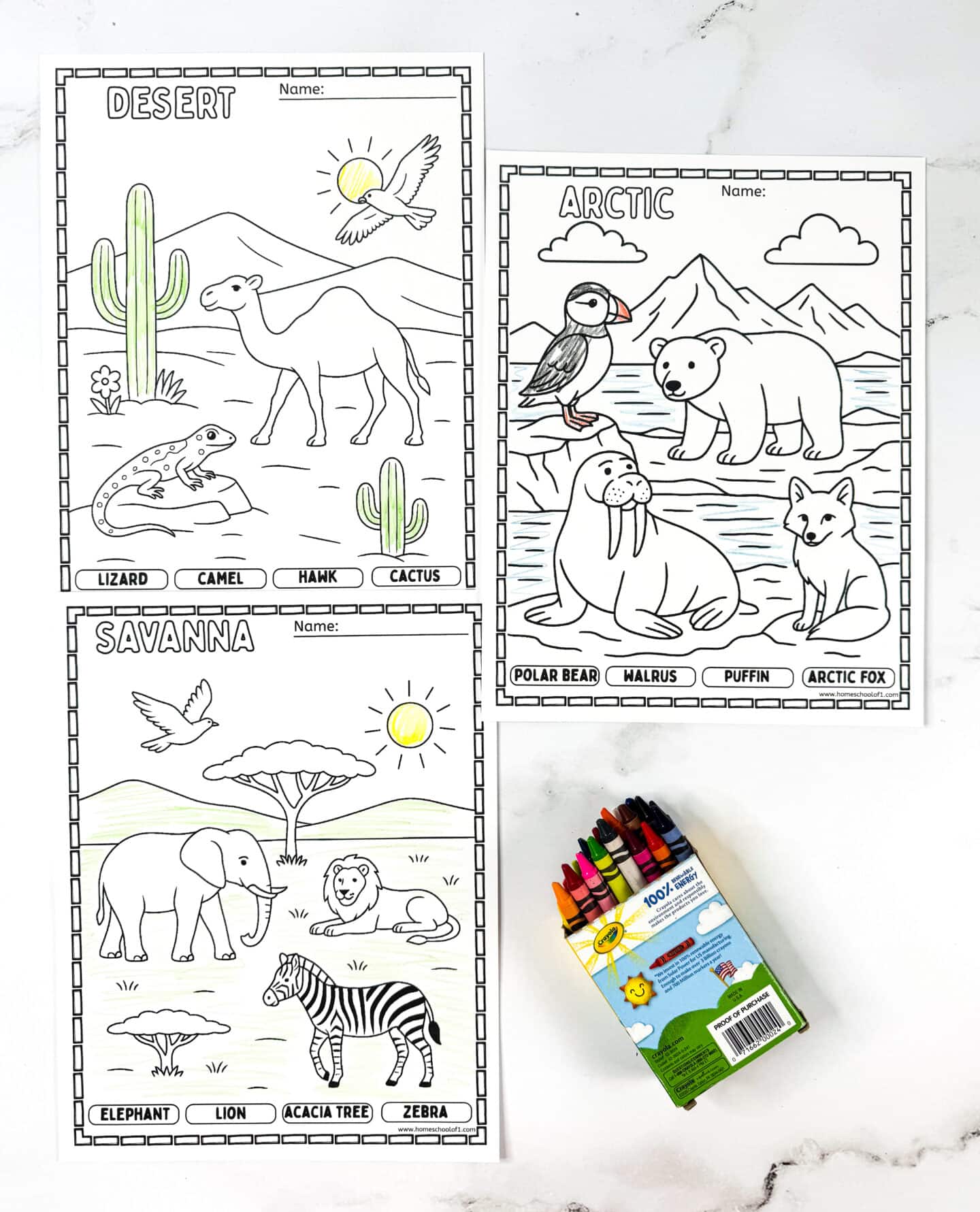 Desert, Arctic, and Savanna habitat coloring pages for kids featuring camel, lizard, hawk, polar bear, walrus, puffin, arctic fox, elephant, lion, zebra, and acacia tree.