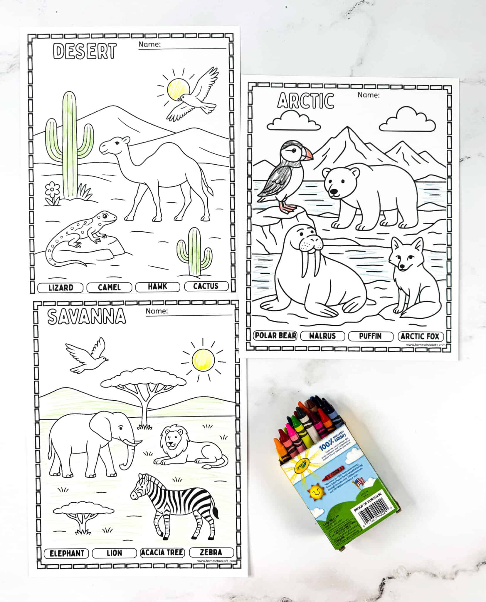 Python Habitat Colouring In Free Habitat Coloring Pages for Kids