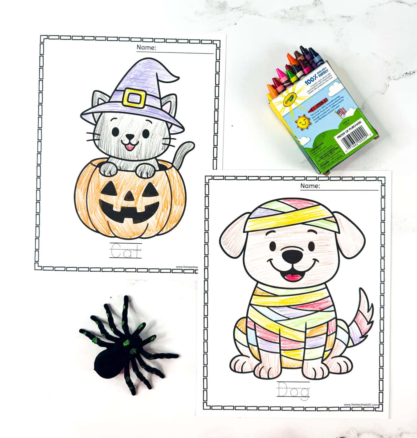 Cute Halloween pet coloring pages with a cat in a pumpkin wearing a witch hat and a smiling mummy-wrapped dog.