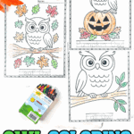 Owl coloring page printables showing a leaf owl, pumpkin owl, and fall owl with autumn leaves, displayed with a box of crayons and fall decorations.