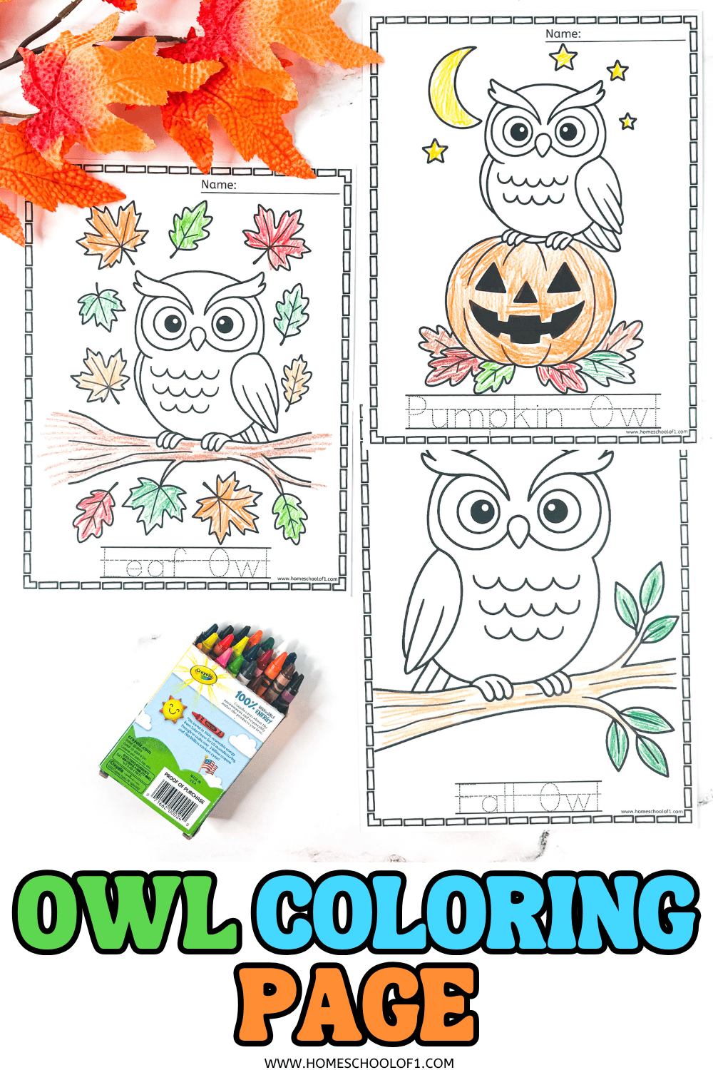 Owl coloring page printables showing a leaf owl, pumpkin owl, and fall owl with autumn leaves, displayed with a box of crayons and fall decorations.