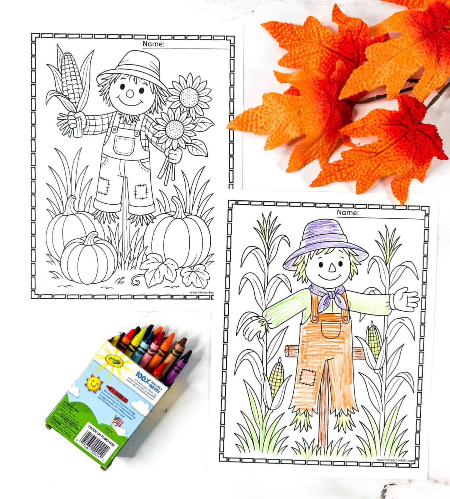 Scarecrow coloring pages with corn stalks, sunflowers, and autumn harvest details for kids.