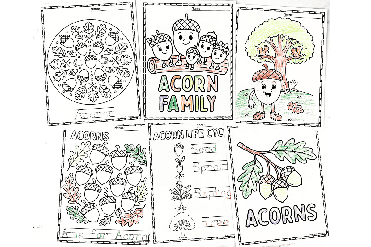 Complete acorn coloring page set featuring acorn family, life cycle, tree, and A is for Acorn worksheets for kids.