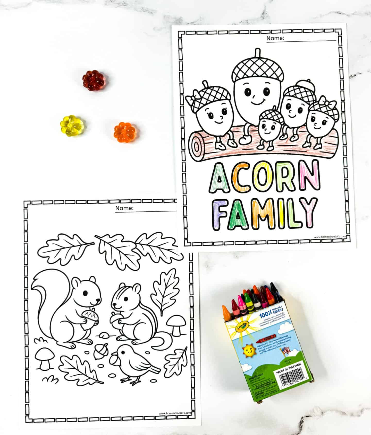 Acorn family coloring pages with happy acorn characters on a log and woodland animals collecting acorns surrounded by leaves.