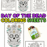 Printable Day of the Dead coloring sheets including sugar skulls, parades, ofrendas, and draw-your-own pages.