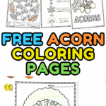 Set of free acorn coloring pages showing seven printable designs including life cycle, acorn family, and A is for Acorn sheet.