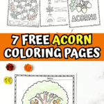 Seven free acorn coloring page designs including tree, family, and acorn life cycle sheets for preschool kids.