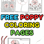 Collage of seven completed poppy coloring worksheets for kids