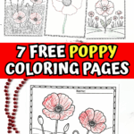 Seven poppy coloring worksheets with red poppies and text overlay โ7 Free Poppy Coloring Pages.โ