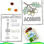 Free printable acorn coloring pages for kids showing acorn life cycle and handwriting practice with crayons and fall decorations.