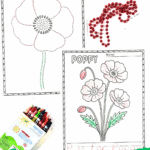 Two printable poppy coloring pages with crayons and red beads for kids.