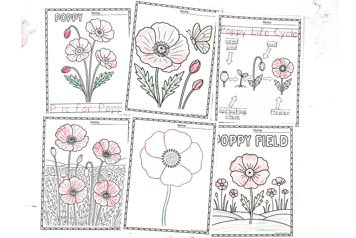 Completed poppy coloring worksheets showing letter tracing, life cycle, and field scenes colored by kids.