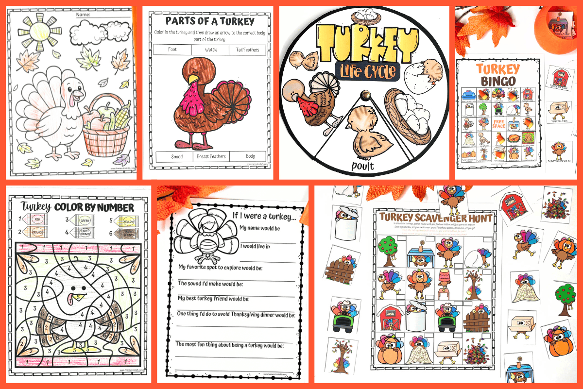 Thanksgiving turkey activity printables for kids, featuring color by number sheets, life cycle wheel, parts of a turkey diagram, scavenger hunt, and creative writing prompts for preschool and elementary students.