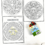 Free mushroom coloring pages showing mandala-style mushroom art for kids with crayons.