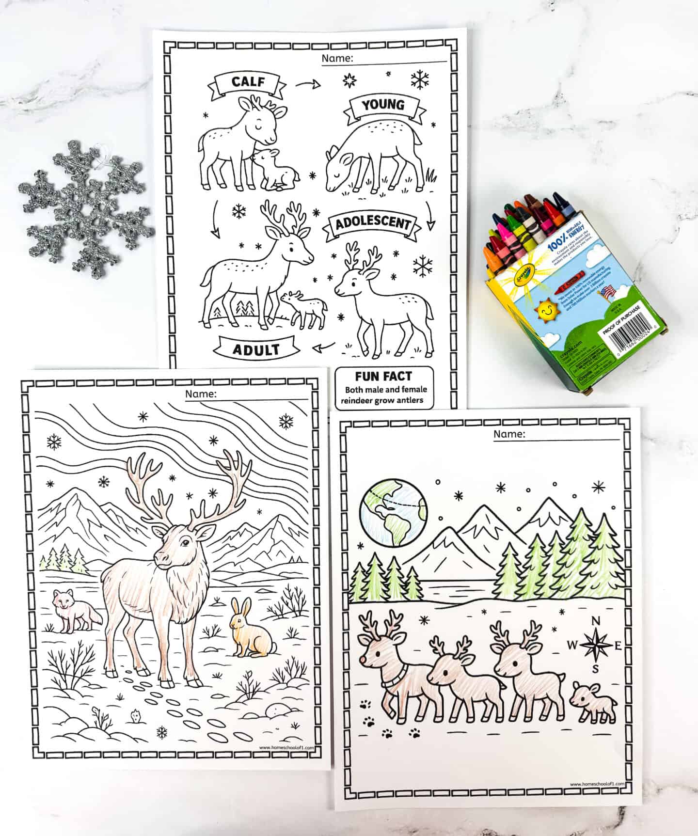 Free reindeer coloring pages showing the life cycle, arctic wildlife, and reindeer family migration.