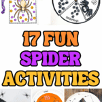 Collage of printable spider crafts and worksheets including dot marker pages, life cycle wheel, and paper plate spider projects.