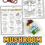 Printable mushroom coloring sheets showing mushroom anatomy and types of mushrooms with crayons.