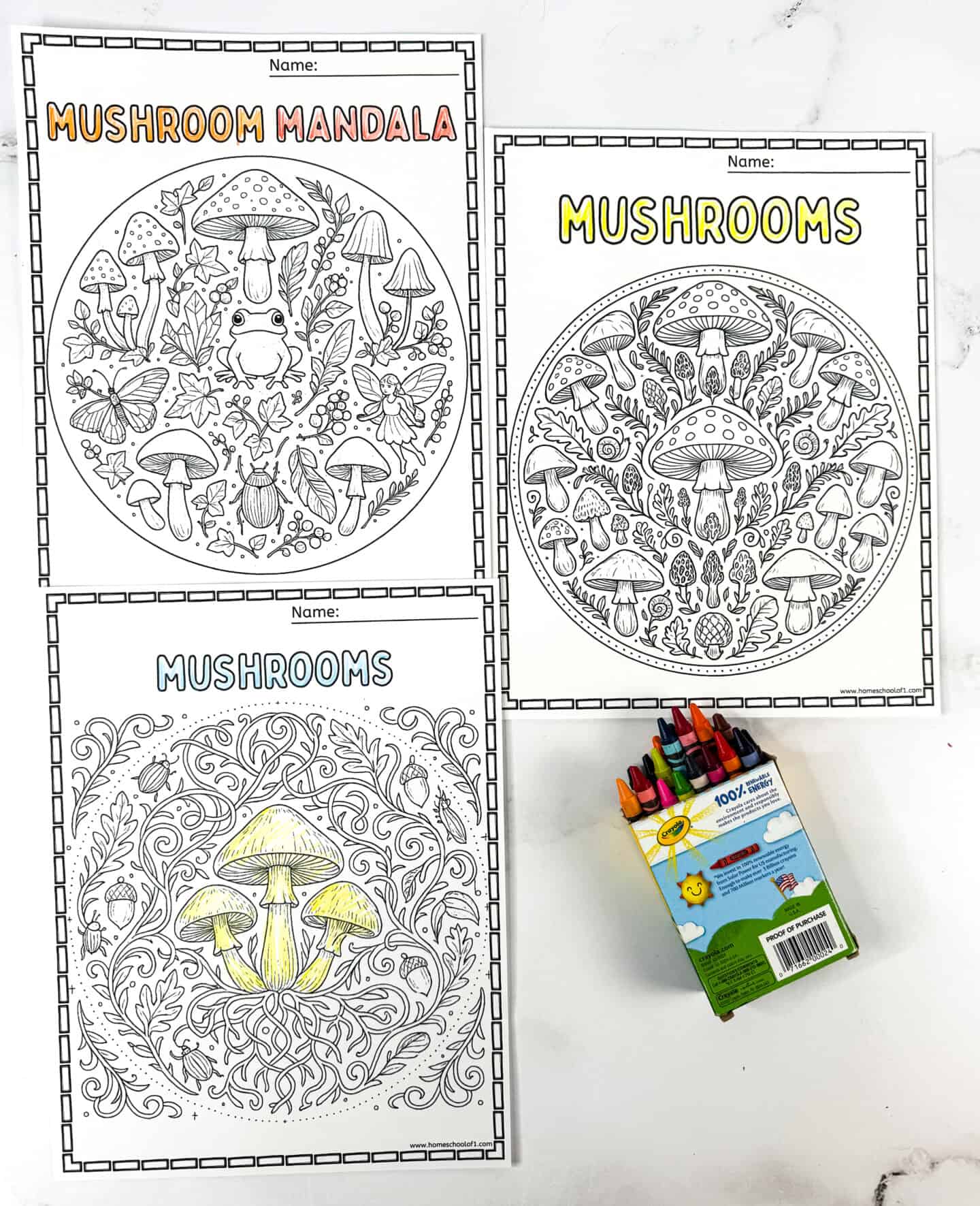 Three free mushroom mandala coloring pages for kids featuring detailed mushroom designs and forest elements with crayons.