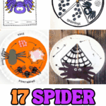Four spider worksheets and crafts showing life cycle stages, parts of a spider diagram, and paper plate spider crafts for kids.
