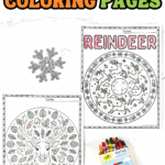 Two printable reindeer coloring pages featuring a moon mandala and reindeer head mandala surrounded by pinecones, mushrooms, and holly.