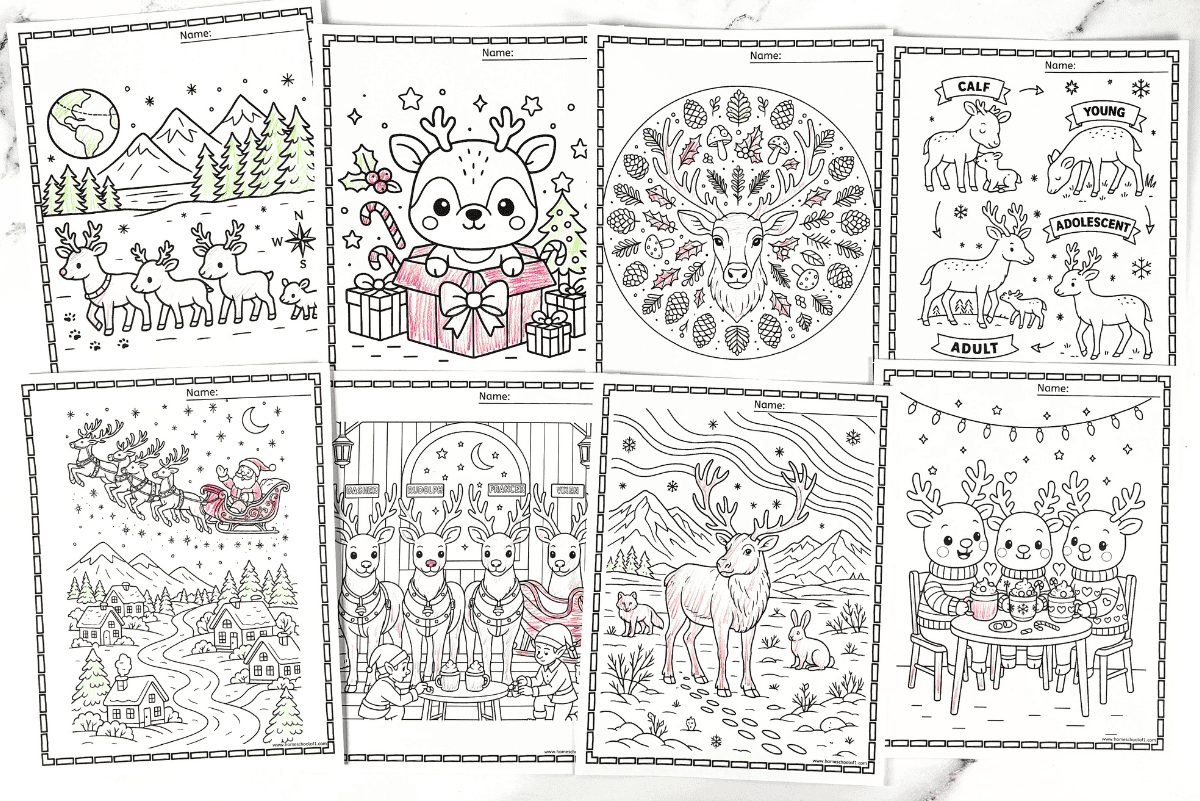 A full set of eight reindeer coloring pages displayed together, including mandalas, kawaii designs, Santa’s sleigh, and the reindeer life cycle.