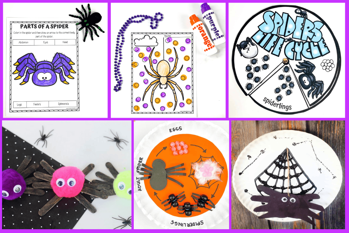 Collage of six spider activities including coloring sheets, sensory crafts, and life cycle paper plate projects for kids.