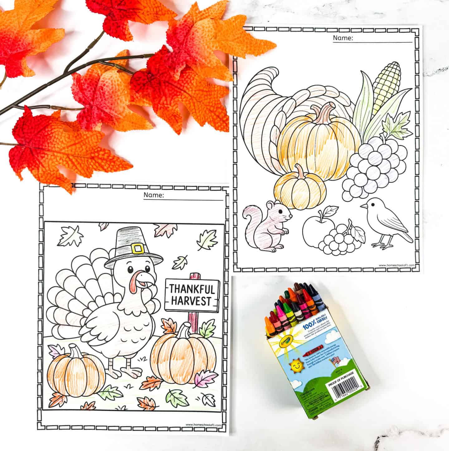 Thanksgiving coloring pages with a turkey and pumpkins next to a “Thankful Harvest” sign and a cornucopia scene, with fall leaves and crayons.